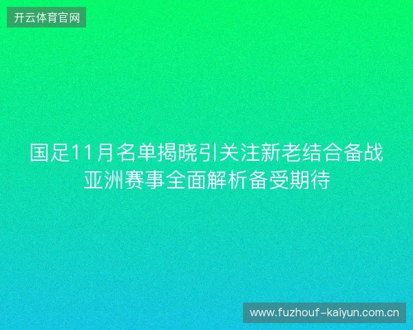 国足11月名单揭晓引关注新老结合备战亚洲赛事全面解析备受期待