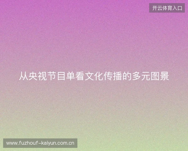 从央视节目单看文化传播的多元图景